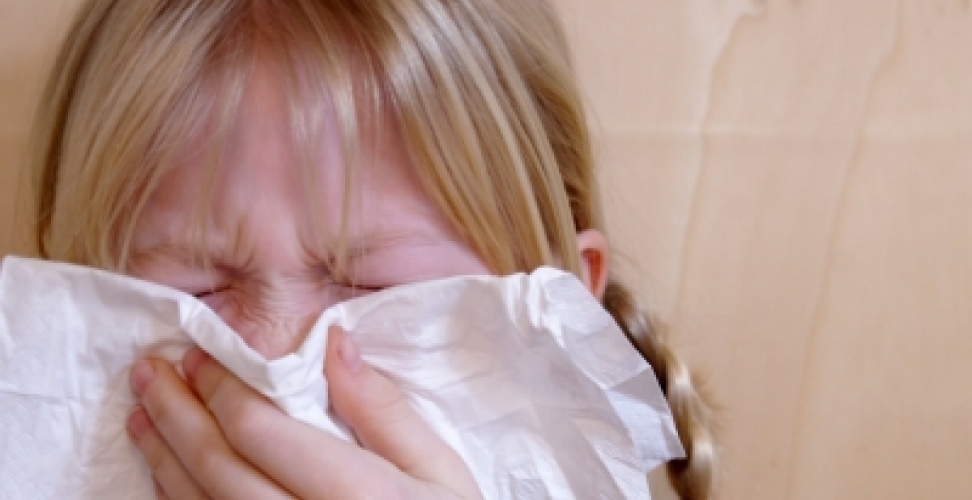 Allergieverträgliche Staubsaugermodelle im Test