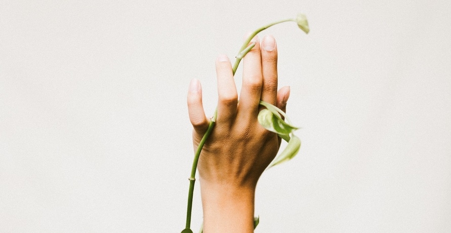 Pfleg dich grün – feste Handcreme aus natürlichen Zutaten