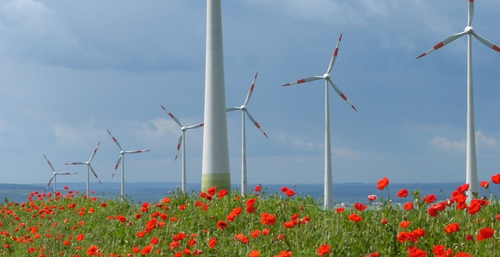 Windenergie-Branche weiter auf Wachstumskurs